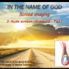 Ultrasound of Acute scrotum