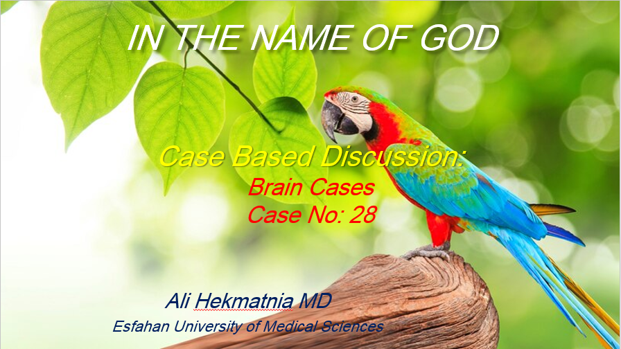 تصویر قبل بارگزاری